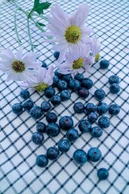 Blueberry Nut Coffee