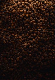 Brazilian Santos Coffee