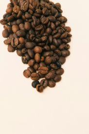 Decaffeinated Hampton Blend Coffee