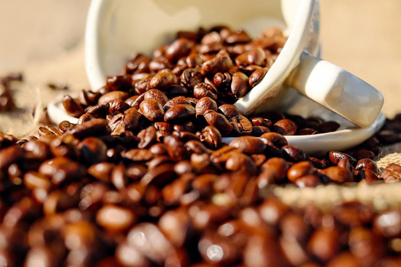 Specialty Coffee
