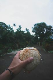 Decaffeinated Coconut Jalapeño Coffee