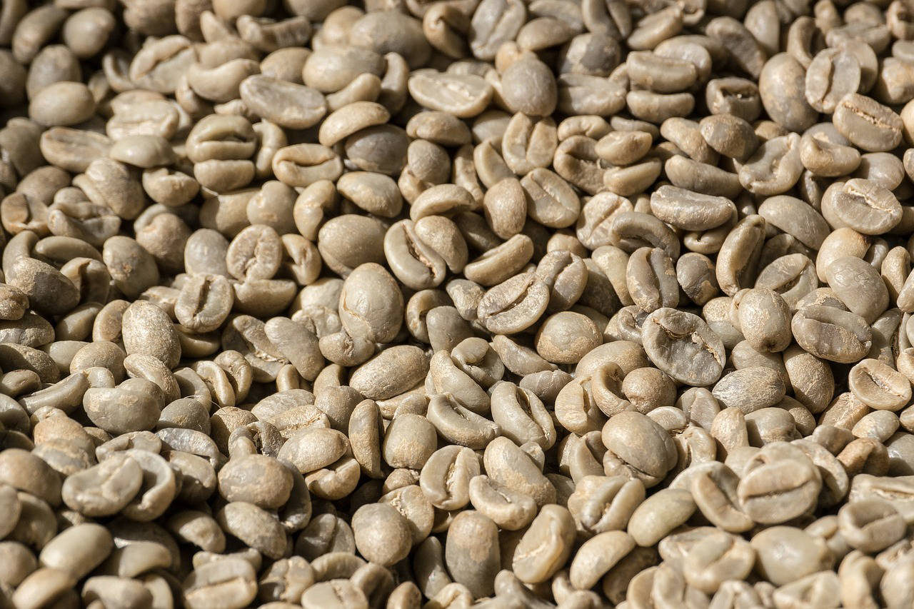 Green Bean Coffee