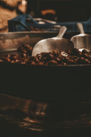 Chocolate Macadamia Coffee