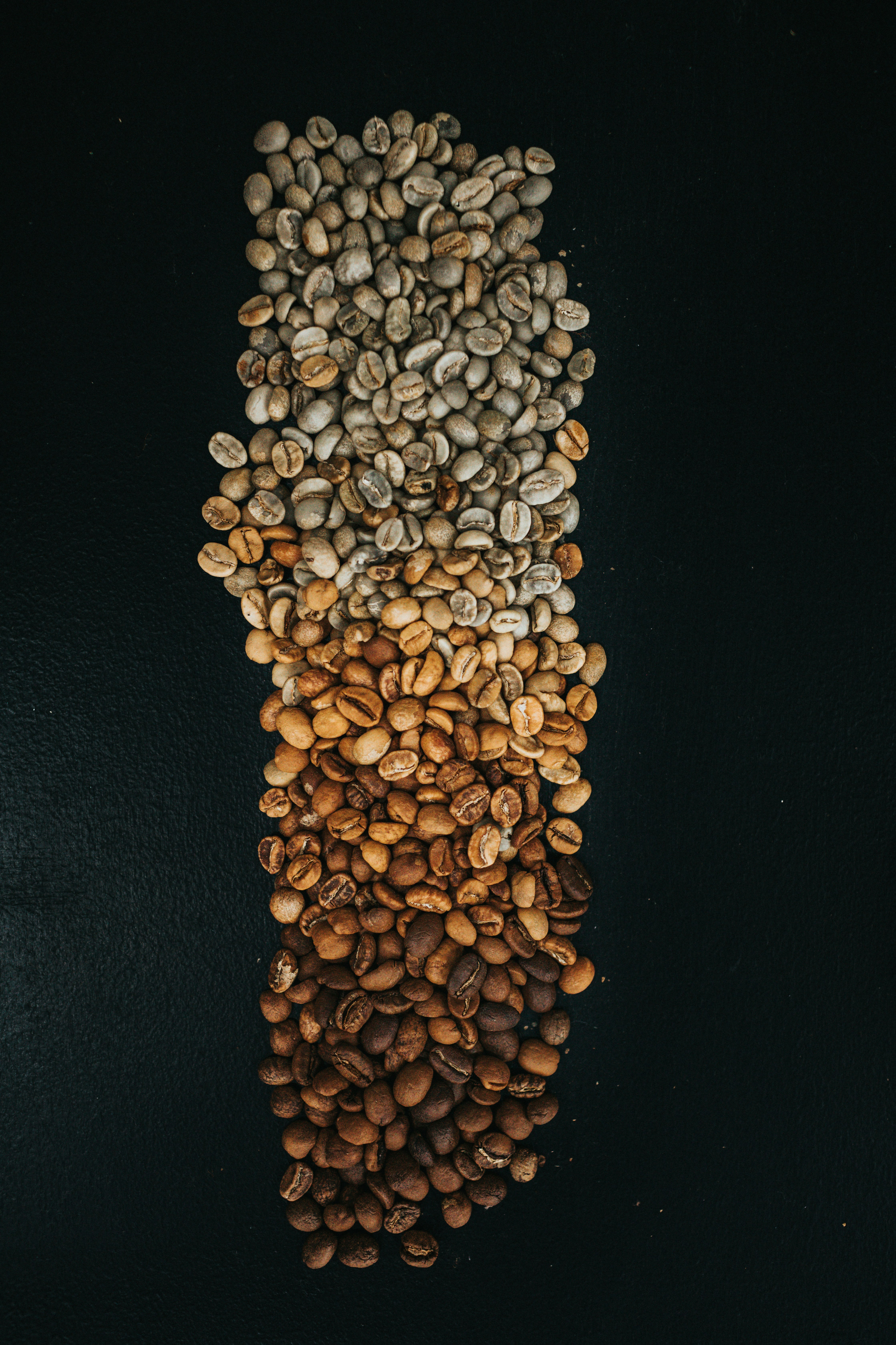 Shop Specialty Coffees