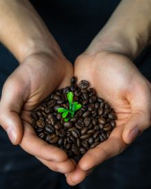 Organic Morning Jolt
