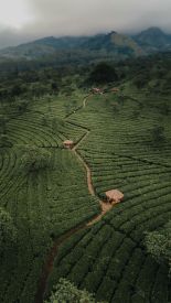Organic & Fair-Trade Colombian Coffee