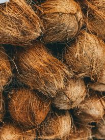 Coconut Coffee